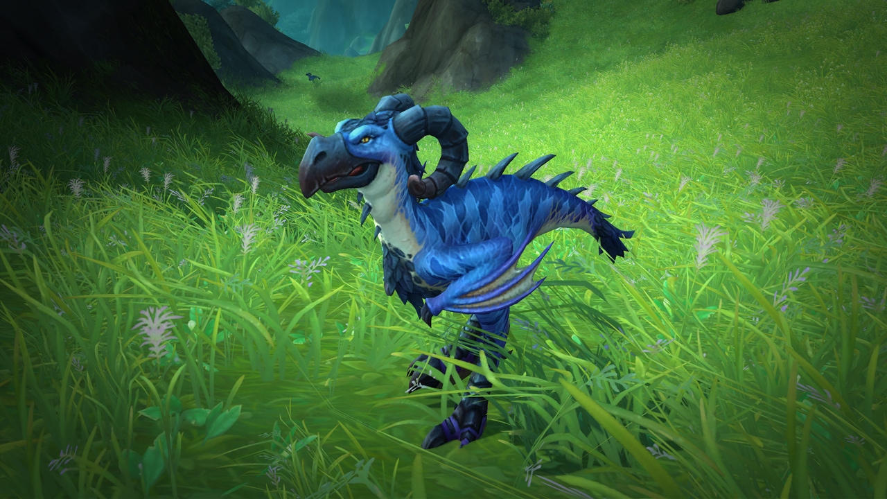 Blue Hornstrider