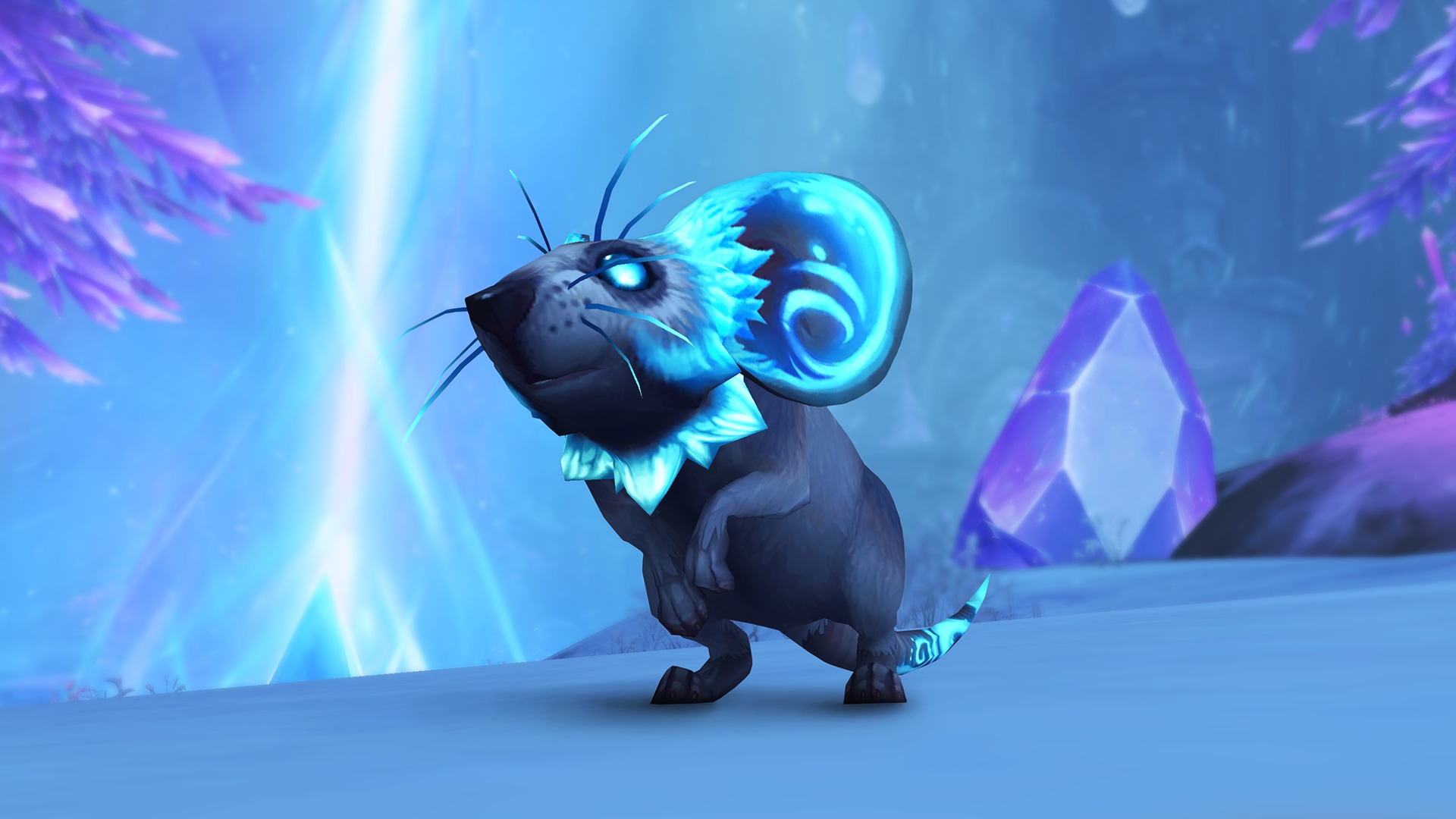 Teele the blue mouse pet